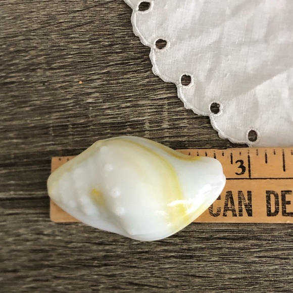 Unique Slag Glass Shell Decor - Picture 5 of 7
